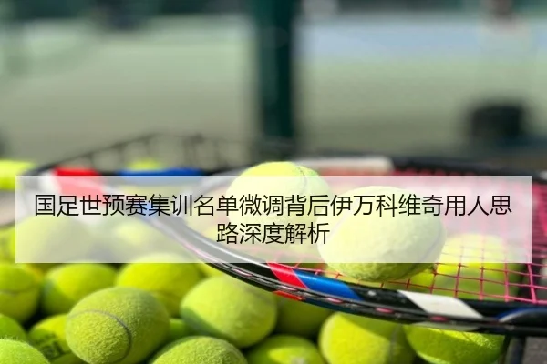 国足世预赛集训名单微调背后伊万科维奇用人思路深度解析